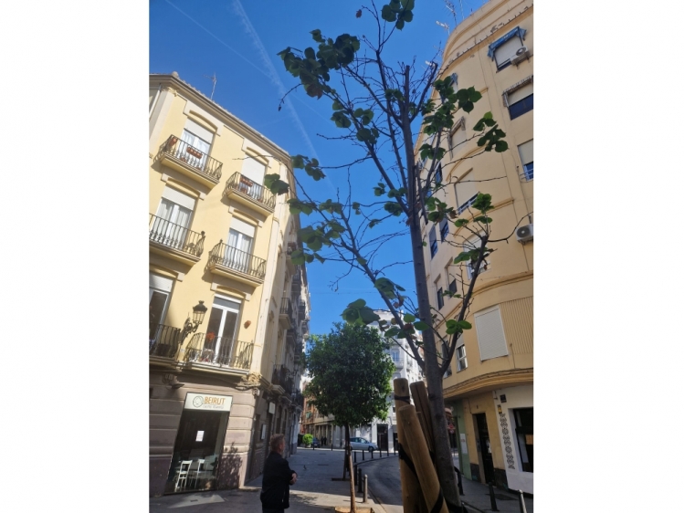 VENTA DE PISO EN EL BARRIO DE RUZAFA, C/ CARLOS CERVERA, CENTRO CIUDAD - 548